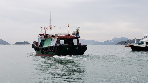 green and black boat on sea during daytime