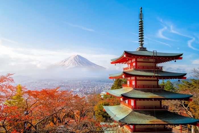 日本紅葉情報2023
